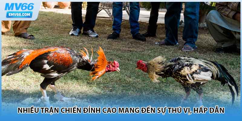 Nhiều trận chiến đỉnh cao mang đến sự thú vị, hấp dẫn