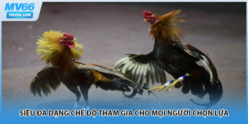 Siêu đa dạng chế độ tham gia cho mọi người chọn lựa