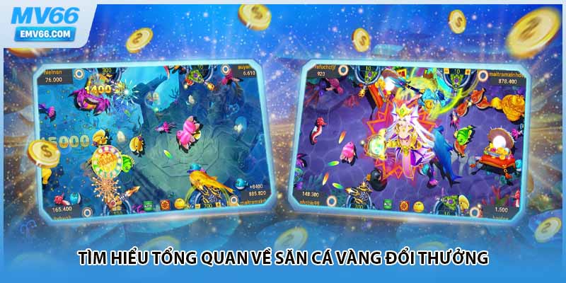 Tìm hiểu tổng quan về săn cá vàng đổi thưởng